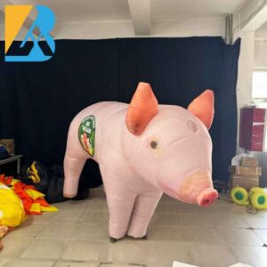 pig-costume